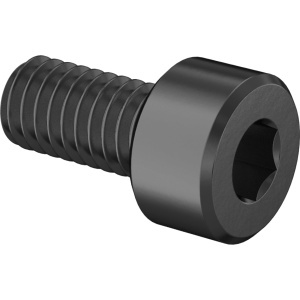 Brass Socket Head Screw M4 x 0.70 mm Thread size, 8 mm Long图4